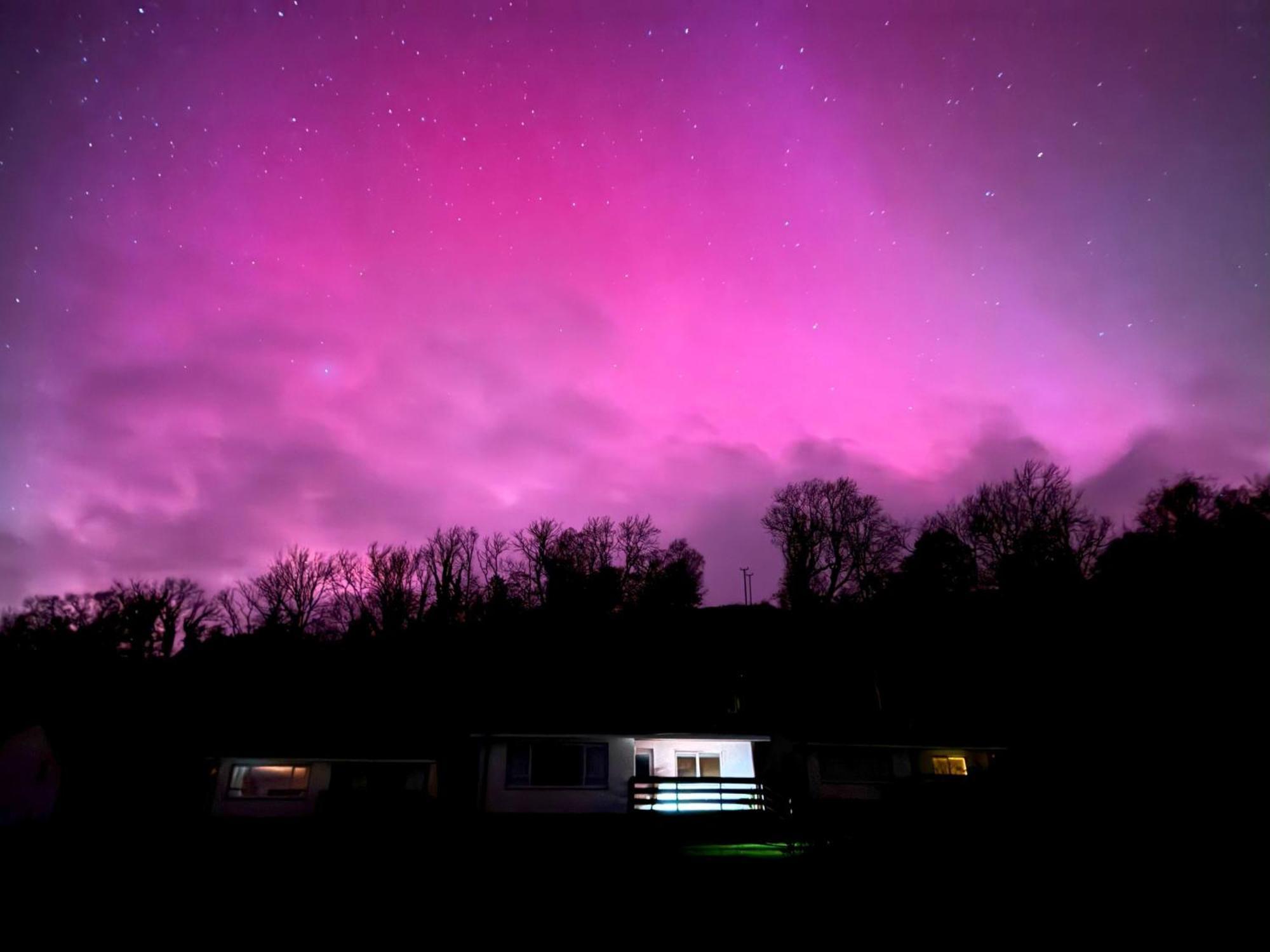 Ash, Birch And Rowan Self Catering Cabins Onich Buitenkant foto