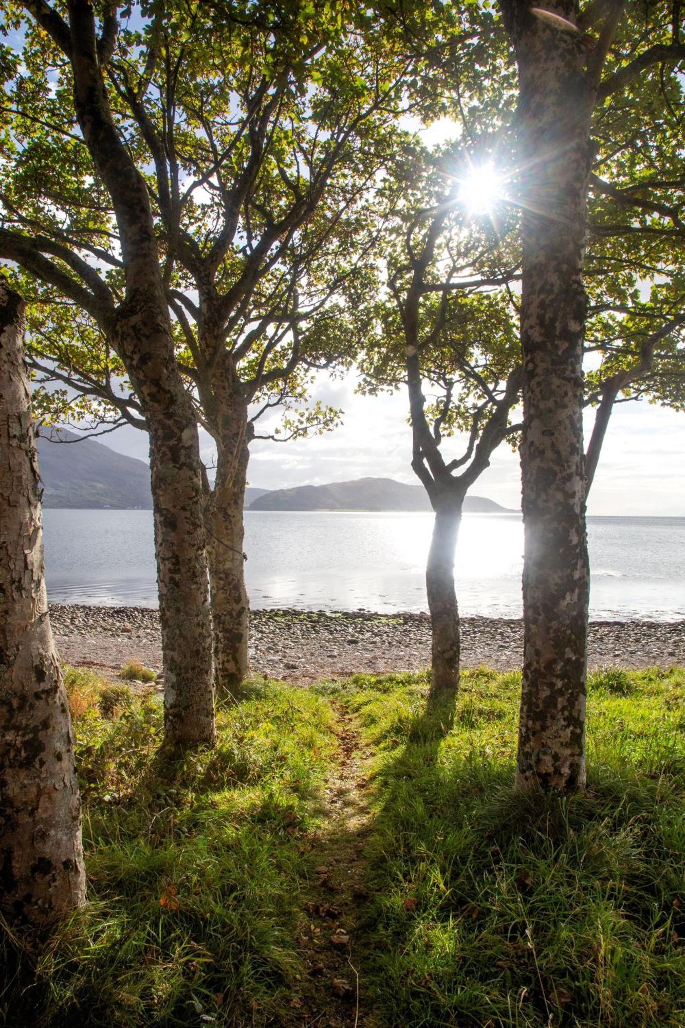 Ash, Birch And Rowan Self Catering Cabins Onich Buitenkant foto